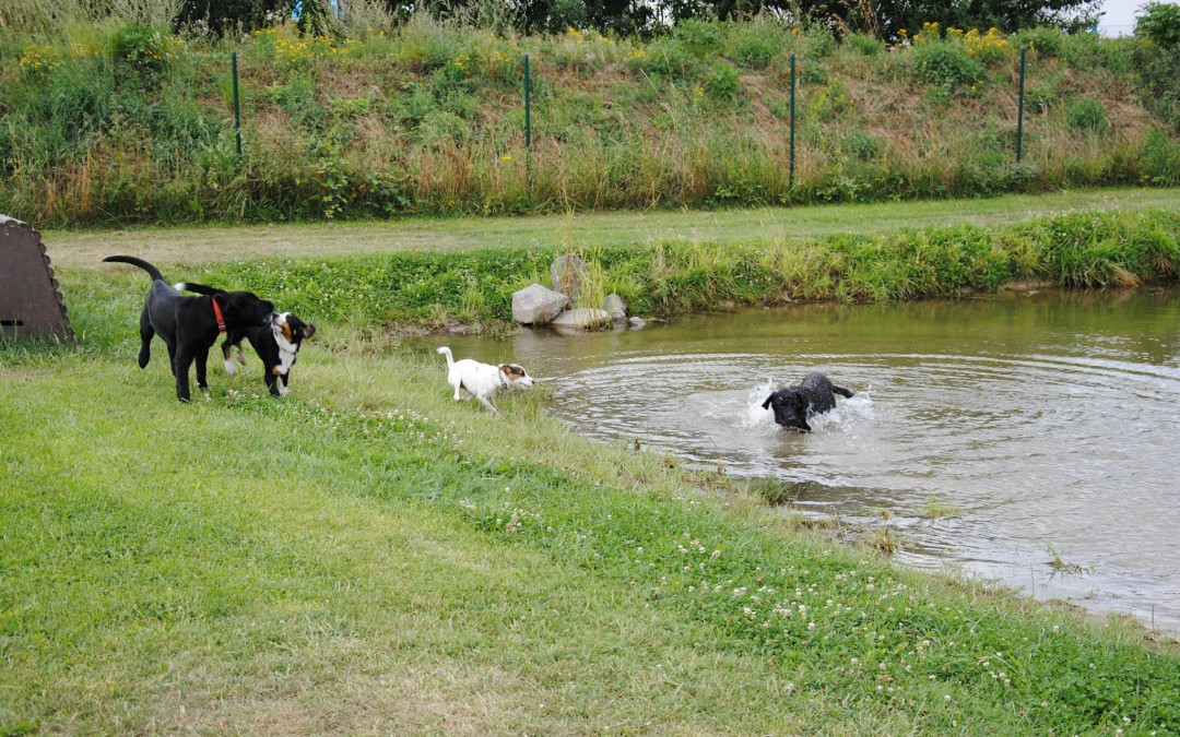 Auslauf / Spieltreff