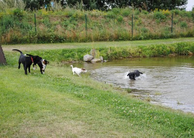 Auslauf / Spieltreff