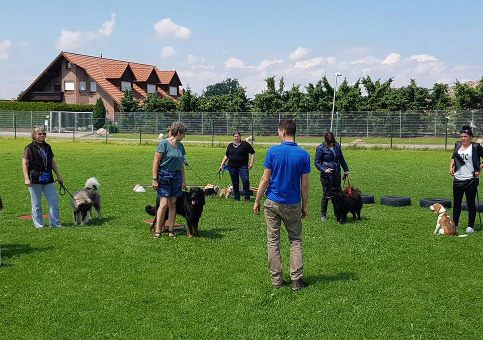 Begleithunde-Ausbildung (DTK 1888 e.V.) – 11.04.2026