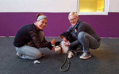 Rückblick – Erste Hilfe am Hund