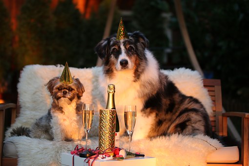 Silvester entspannt meistern