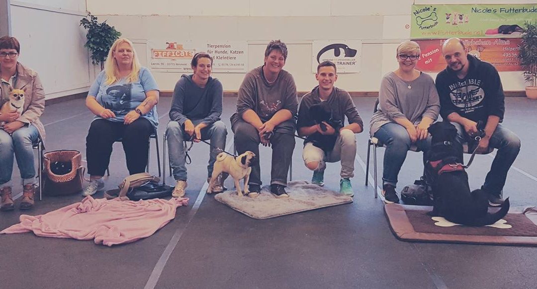 “Massage am Hund” Rückmeldung