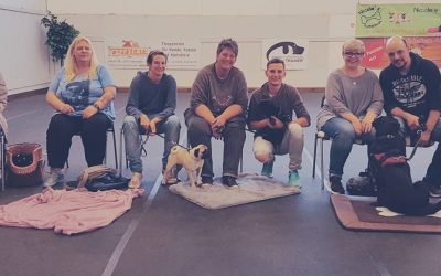 “Massage am Hund” Rückmeldung