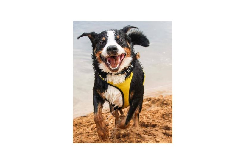 Gewinner der Fotoaktion 2.0