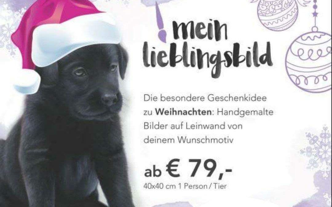 Weihnachtsfoto -Gewinner-