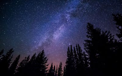 Spaziergang in die Nacht – 6. Juni