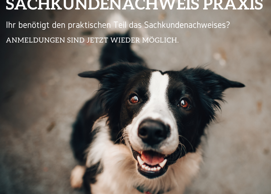 Sachkundenachweis Praxis