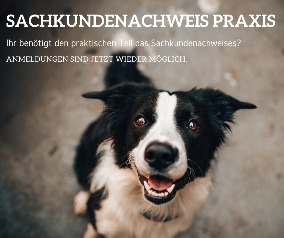 Sachkundenachweis Praxis