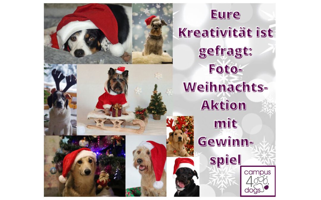 Foto-Weihnachtsaktion