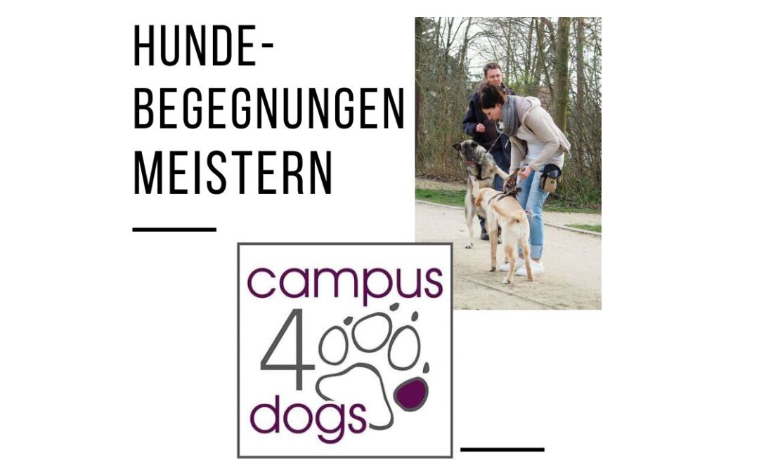 Hundebegegnungen meistern ab dem 12.12.2023