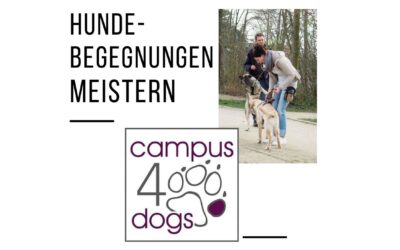 Hundebegegnungen meistern ab dem 2. Juli 2022