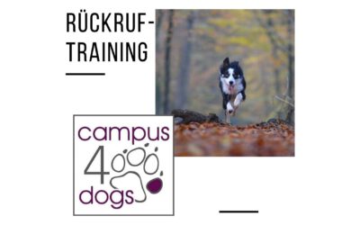 Rückruf-Training ab dem 25.04.2023