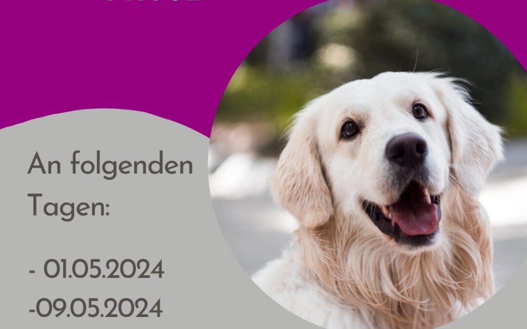 Feiertage im Mai 2024 – Hundeschule geschlossen