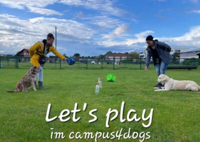 Let`s Play