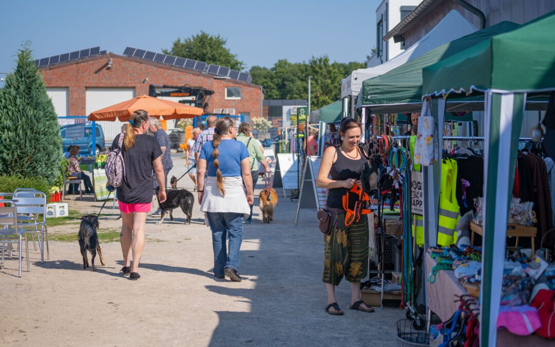Sommerfest Bilder 2024 online