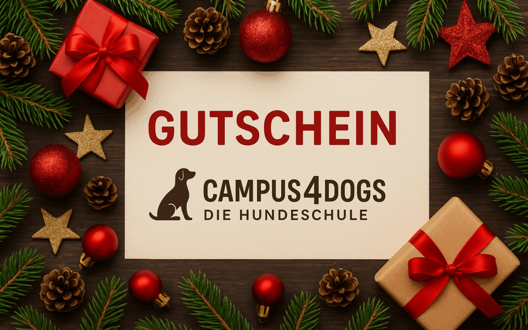 Schon an Weihnachtsgeschenke gedacht?
