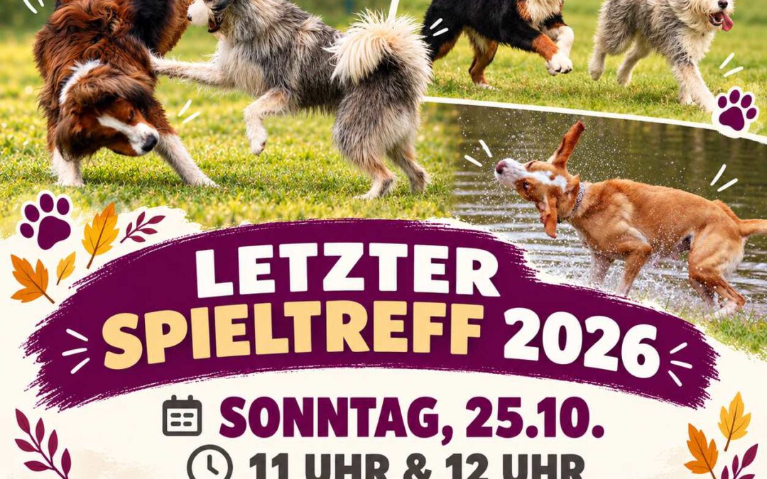 Am Sonntag, 25.10.2026 unser letzter 11 Uhr und um 12 Uhr erwachsenen Spieltreff
