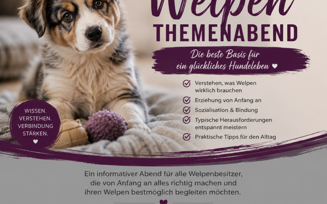Welpenthemenabend am 26.08.2026