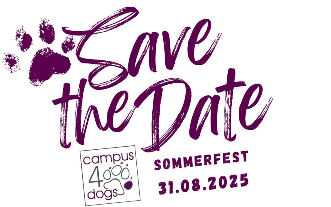 Save the Date – Sommerfest 2025