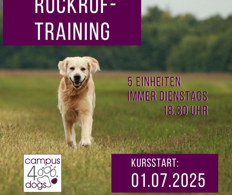 Rückruf-Training – Start: 01.07.2025 – 18:30 Uhr
