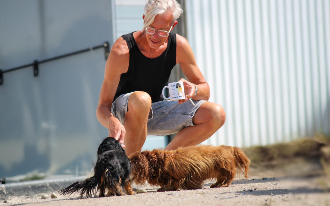 NEU: System Aufstellungen für Mensch-Hund-Teams am 28.08.2025 um 19:15 Uhr