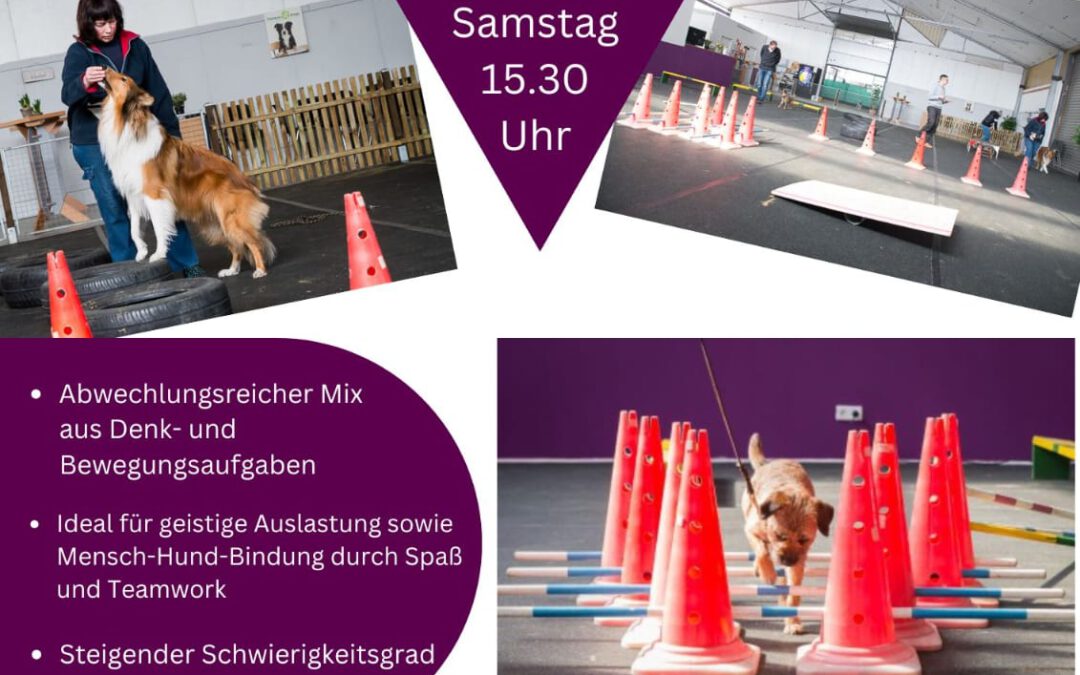 Ausgebucht # Crossdogging erleben!