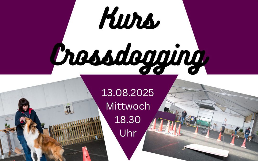 Crossdogging erleben! Mittwochs 18:30 Uhr