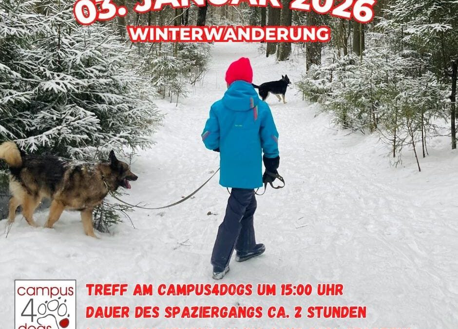 Am 03. Januar 2026 laden wir euch herzlich zu unserer Winterwanderung ein!