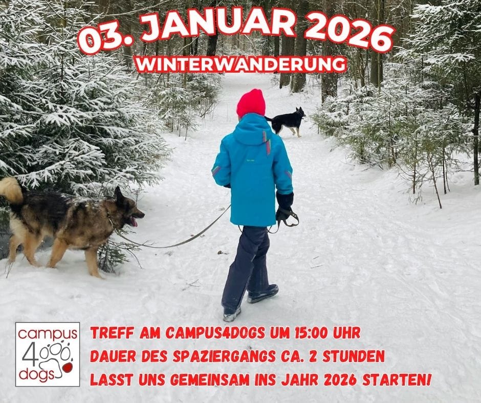 Winterwanderung Januar 2026