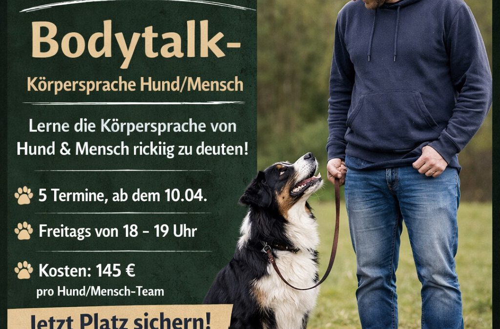 Body Talk Start am 10.04.2026