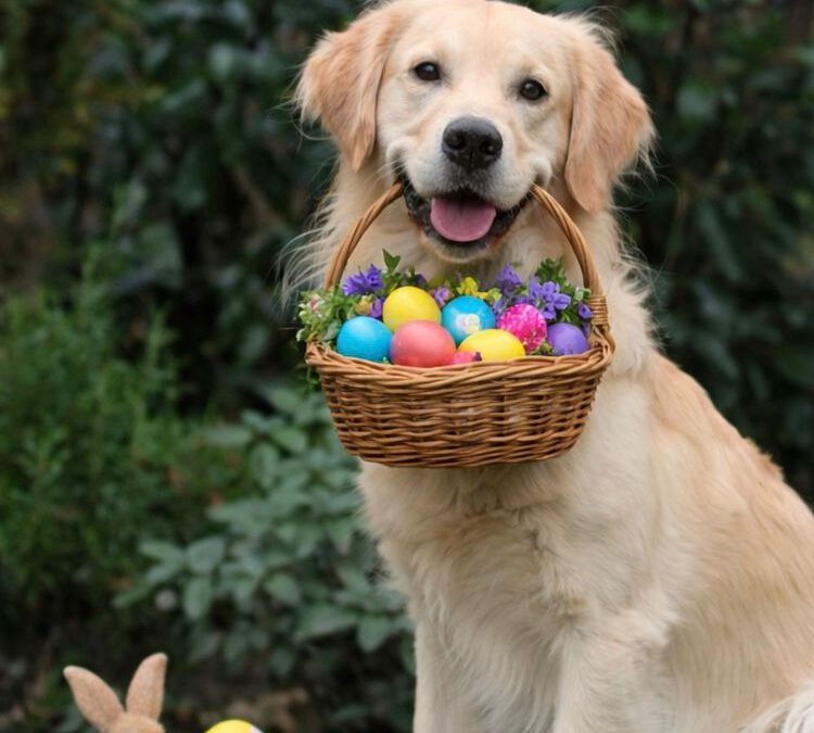 Oster Urlaub Campus4Dogs