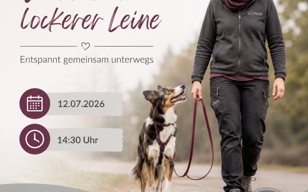 Laufen an lockerer Leine am 12.07.2026