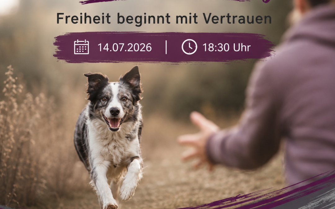 Rückruf-Training am 14.07.2026