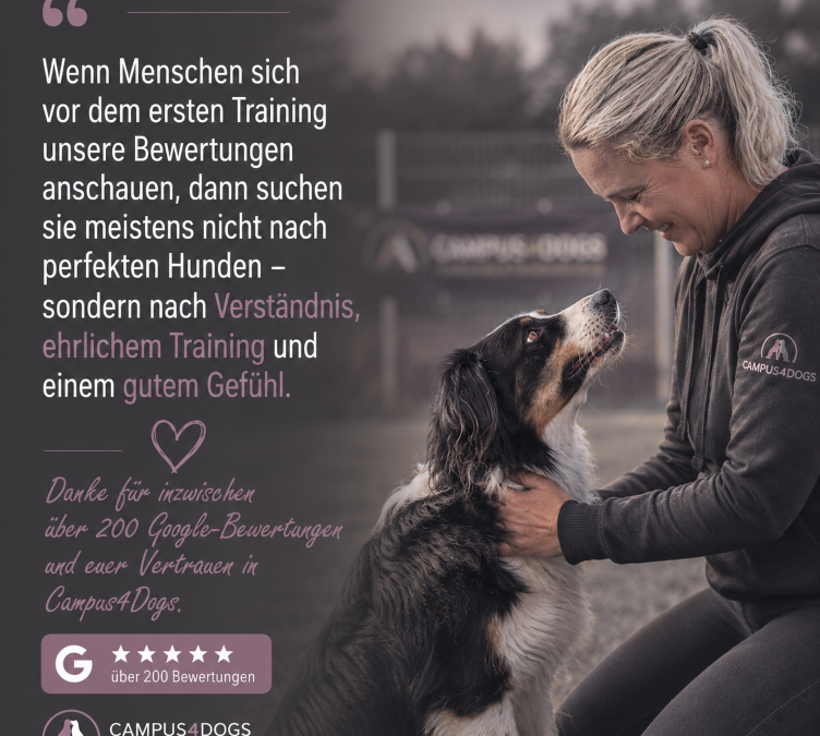 Danke für über 200 ehrliche Google-Bewertungen