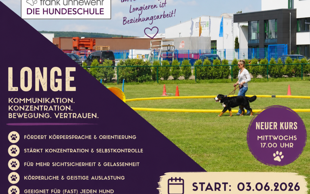🐾 Longiertraining mit dem Hund 🐾