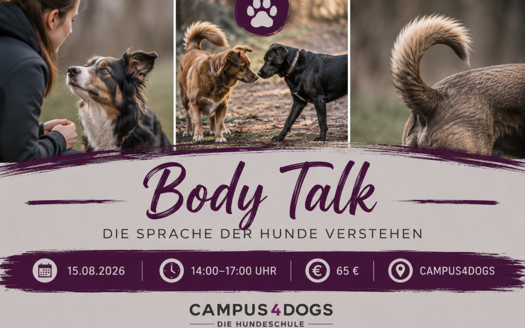 Workshop – Body Talk – Körpersprache verstehen lernen am 15.08.2026
