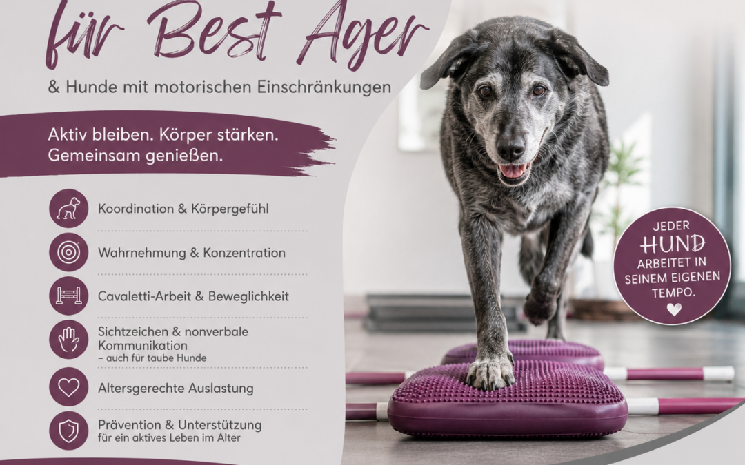 Fitness für Best Ager & Hunde