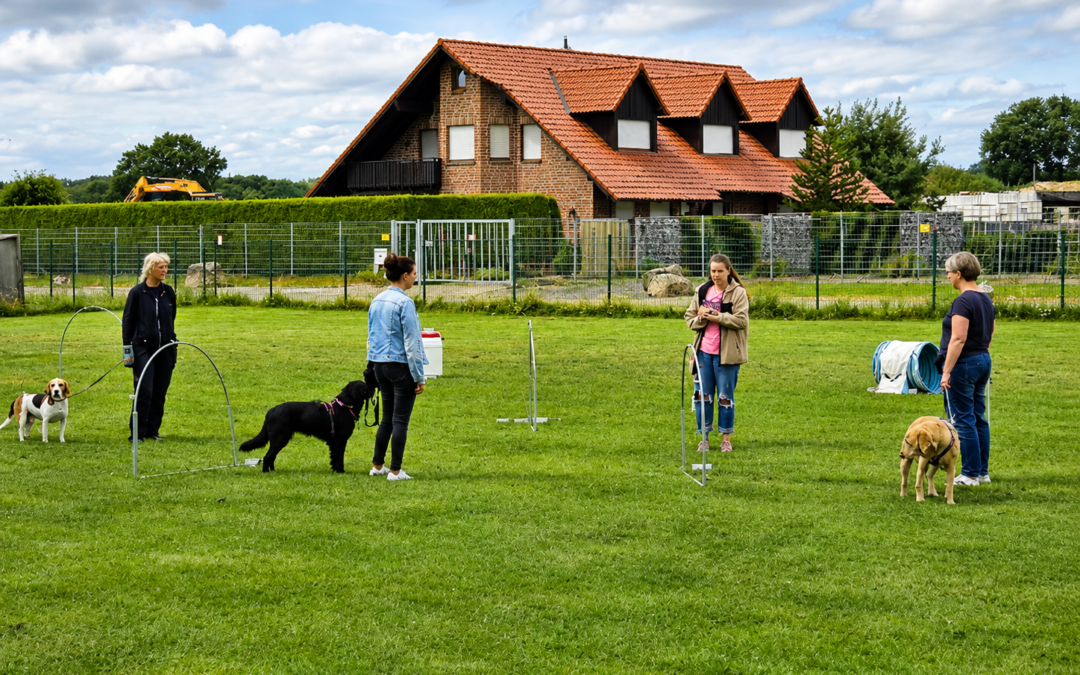 Campus4Dogs Kennenlernwochen