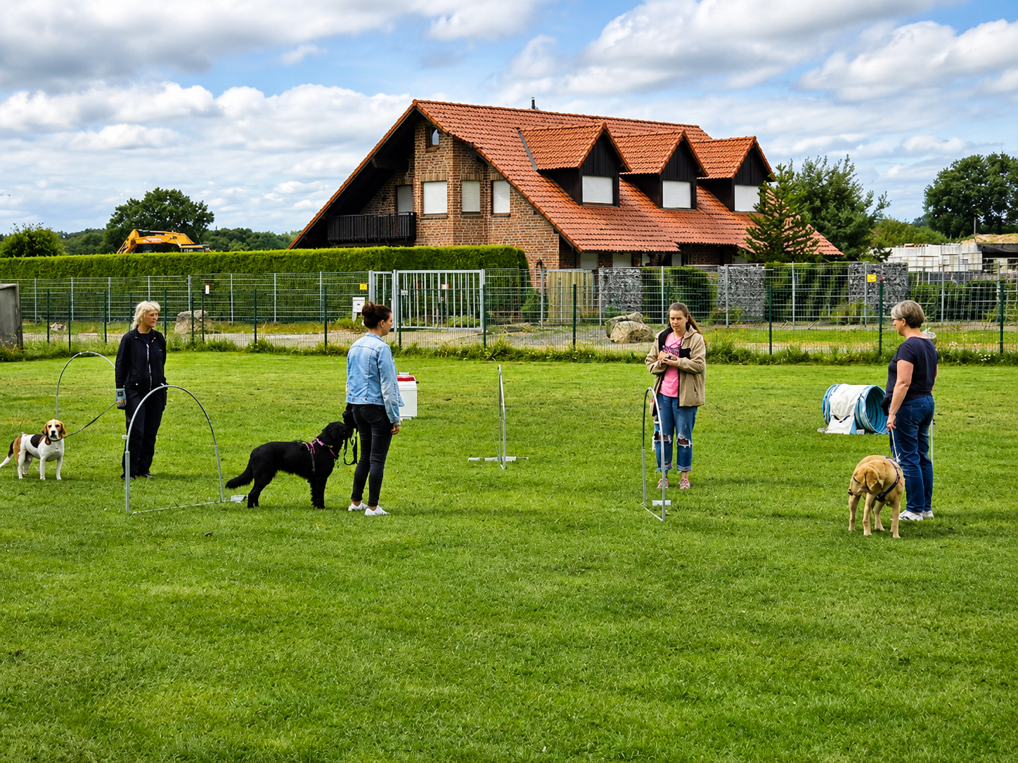Mehrere Mensch-Hund-Teams trainieren gemeinsam auf dem großzügigen Außengelände von Campus4Dogs. Die Hunde arbeiten aufmerksam mit ihren Menschen an verschiedenen Übungen und entdecken spielerisch neue Beschäftigungsmöglichkeiten.