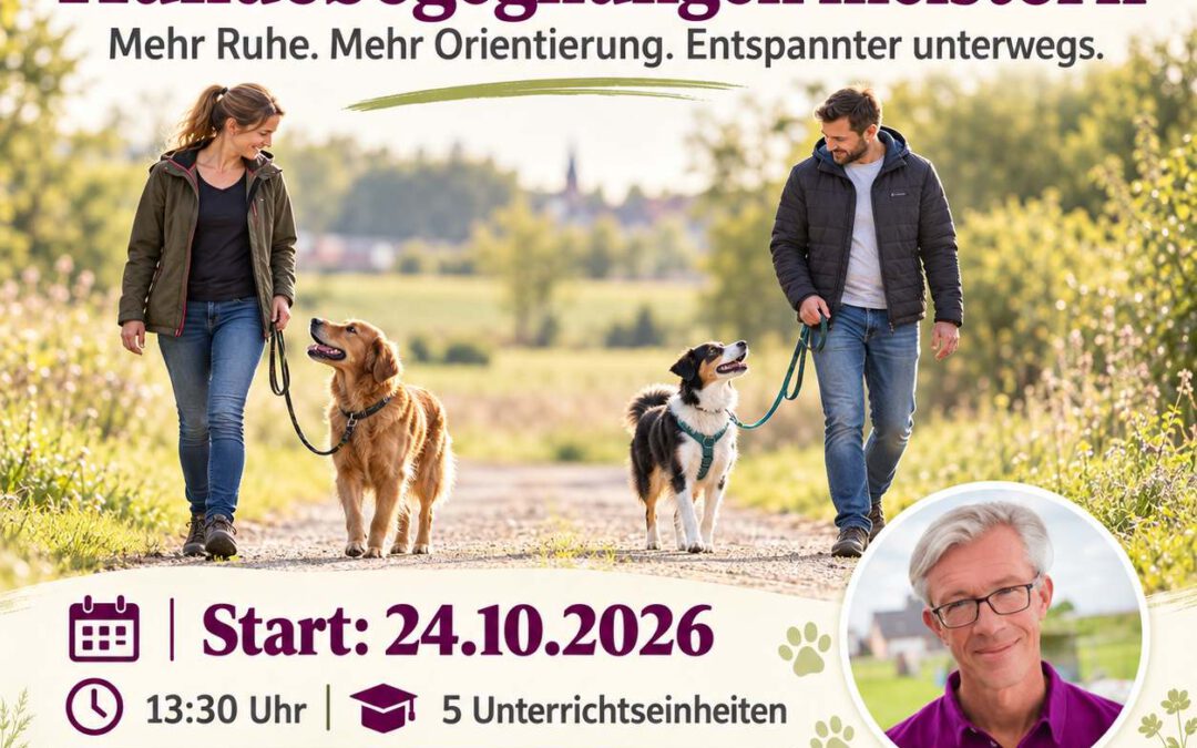 Hundebegegnungen meistern Start am 24.10.2026