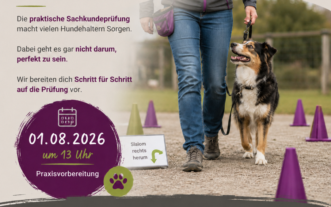 Sachkundenachweis Vorbereitung PRAXIS Prüfung 01.08.2026