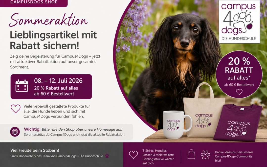 Sommeraktion im Campus4Dogs-Shop