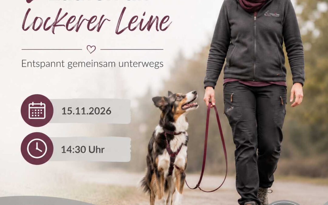 Laufen an lockerer Leine am 15.11.2026