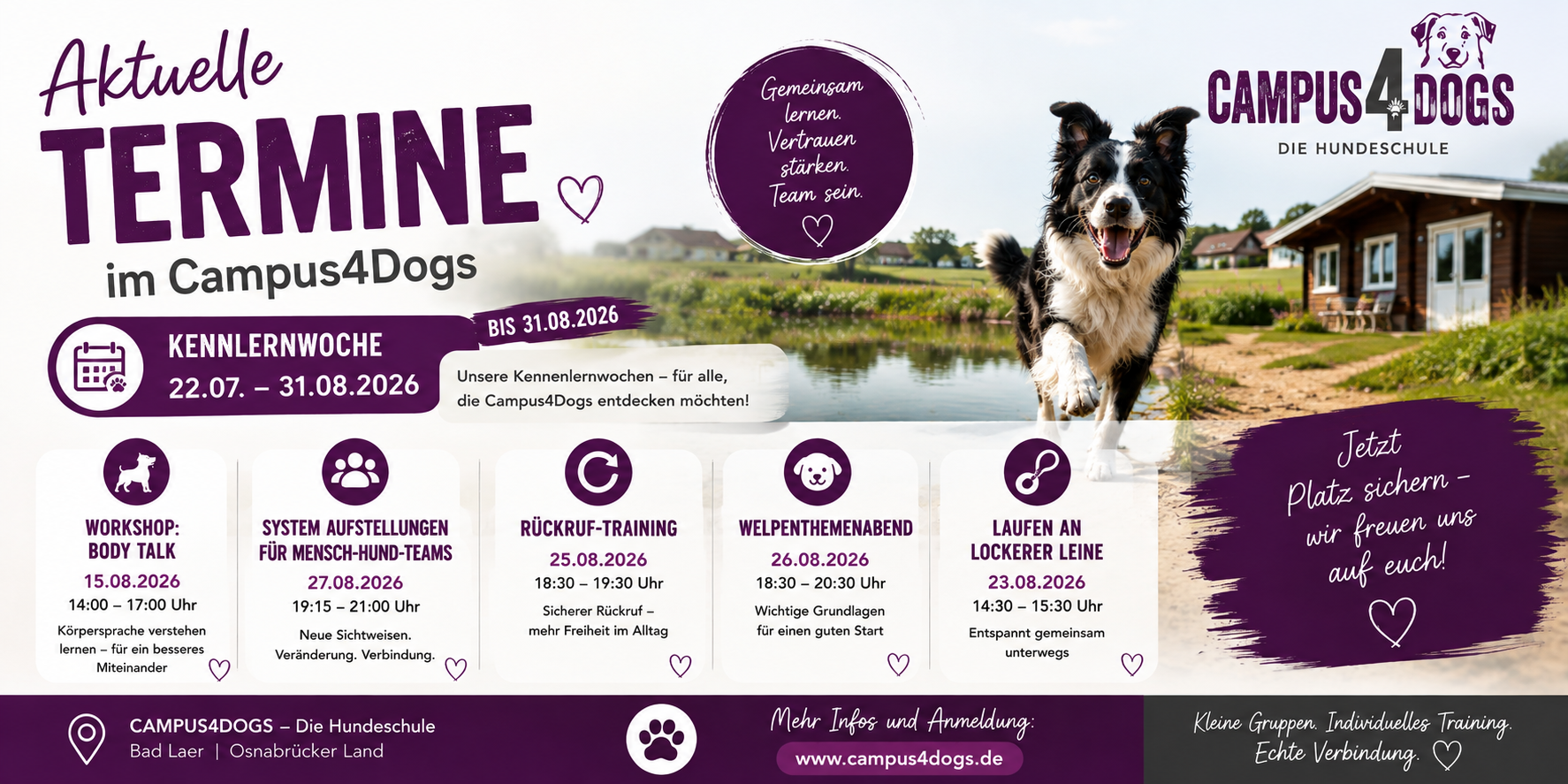 Aktuelle Termine bei Campus4Dogs in Bad Laer im August 2026 mit Kennenlernwochen, Body Talk, Leinenführigkeit, Rückruftraining, Welpenthemenabend und Systemischen Aufstellungen.