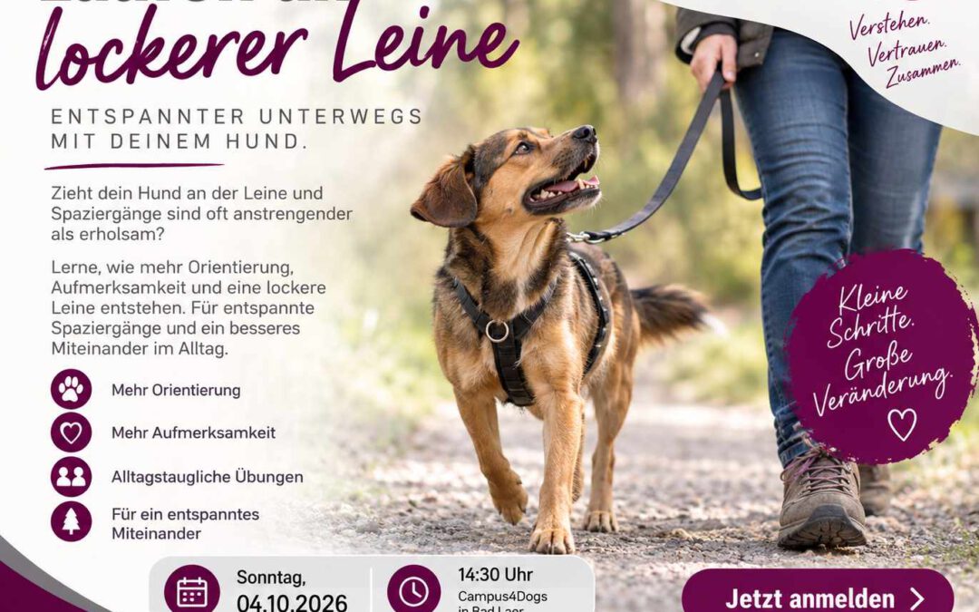 Laufen an lockerer Leine am 04.10.2026