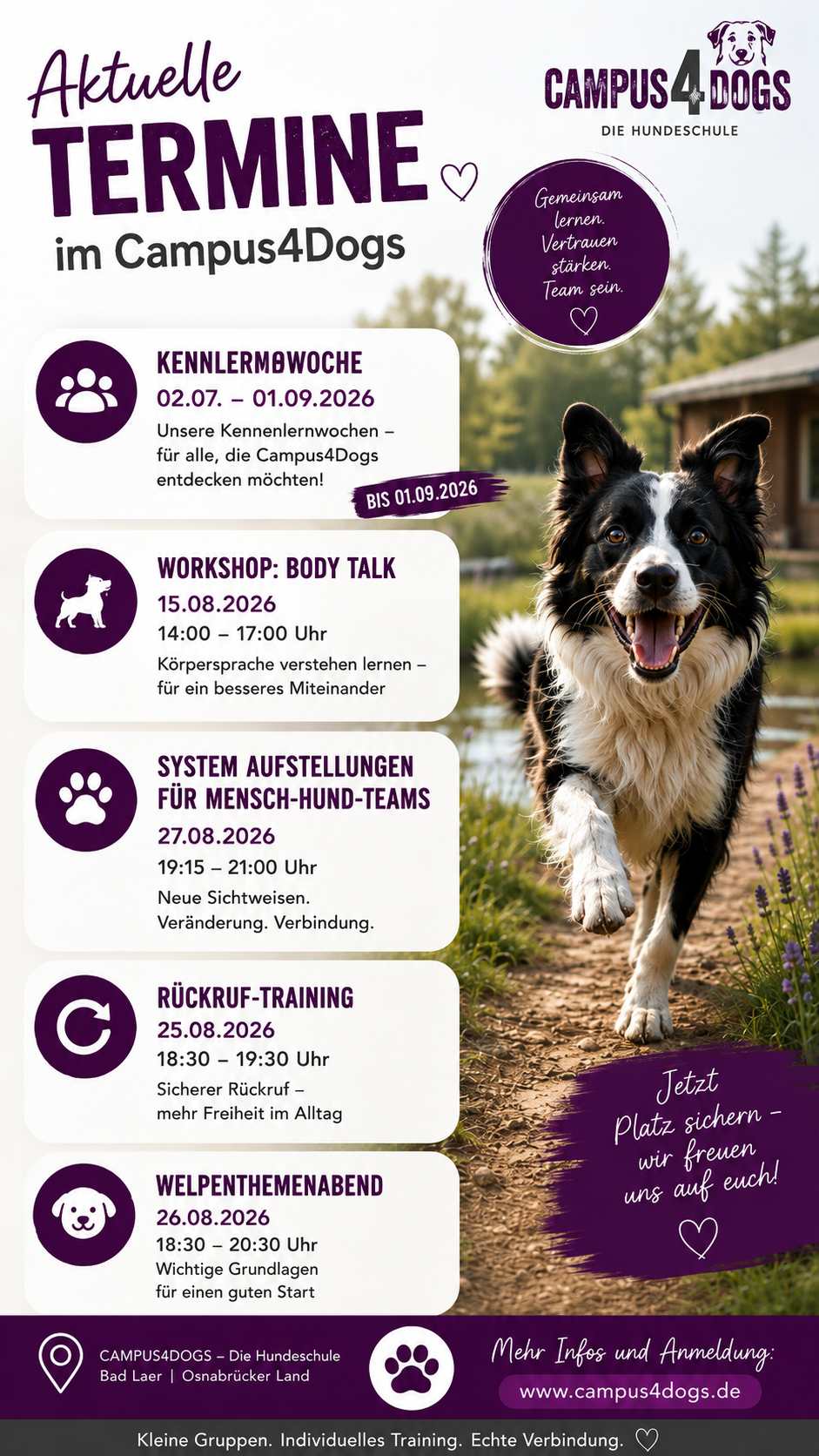 Aktuelle Termine bei Campus4Dogs in Bad Laer im August 2026 mit Kennenlernwochen, Body Talk, Leinenführigkeit, Rückruftraining, Welpenthemenabend und Systemischen Aufstellungen.