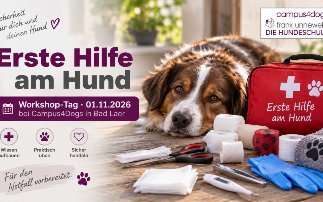Workshop-Tag: Erste Hilfe am Hund am 01.11.2026