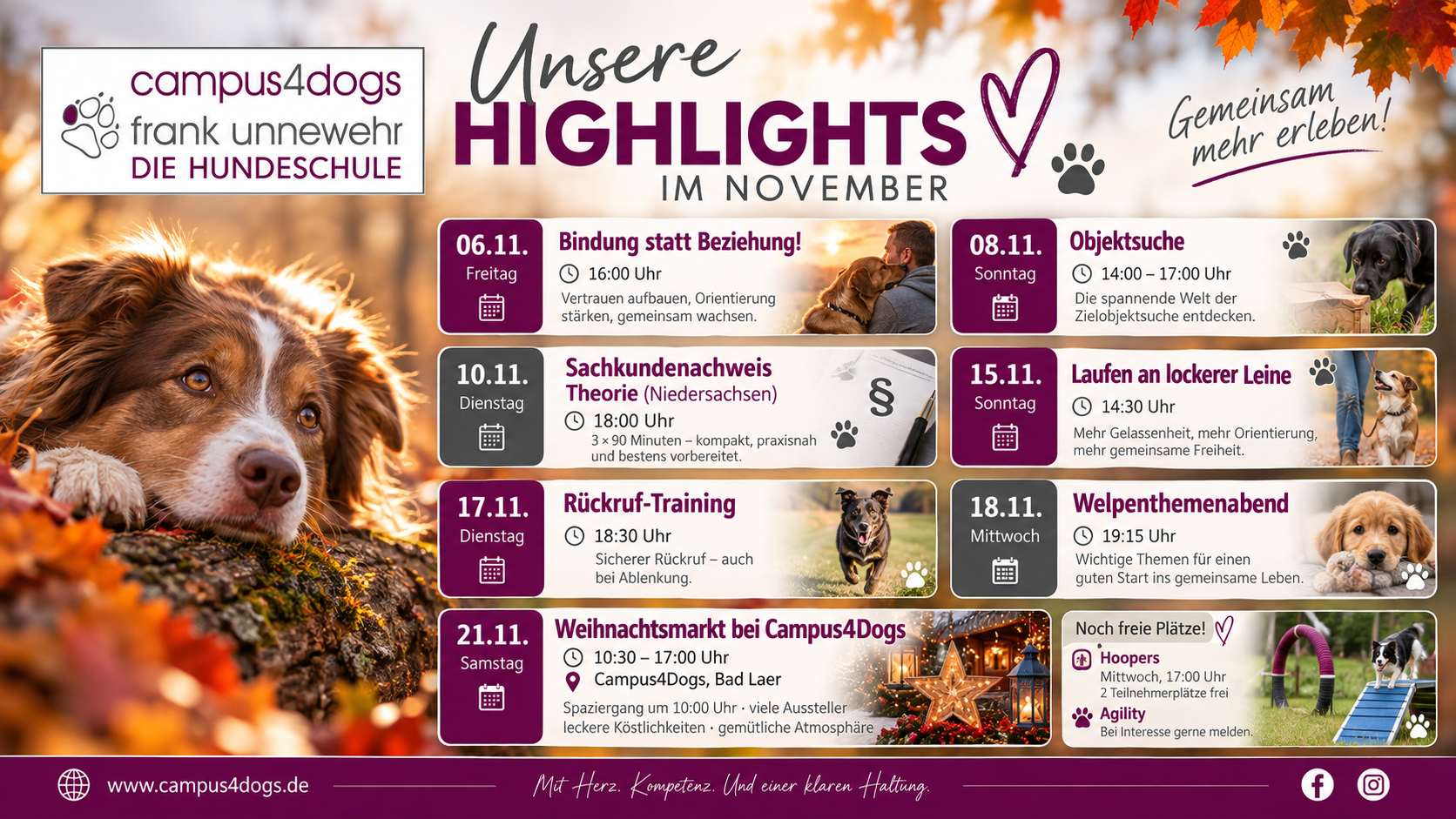 Campus4Dogs November 2026: Übersicht der Hundetrainings, Workshops und des Weihnachtsmarkts am 21. November in Bad Laer.